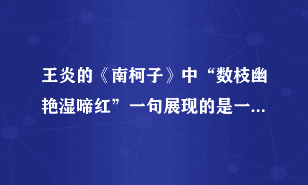 王炎的《南柯子》中“数枝幽艳湿啼红”一句展现的是一幅怎样的画面？