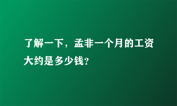 了解一下，孟非一个月的工资大约是多少钱？