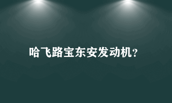 哈飞路宝东安发动机？