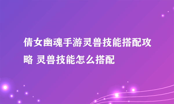 倩女幽魂手游灵兽技能搭配攻略 灵兽技能怎么搭配