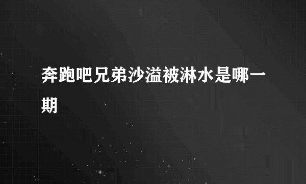 奔跑吧兄弟沙溢被淋水是哪一期