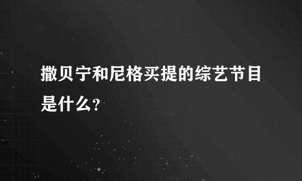 撒贝宁和尼格买提的综艺节目是什么？