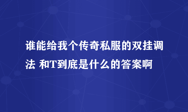 谁能给我个传奇私服的双挂调法 和T到底是什么的答案啊