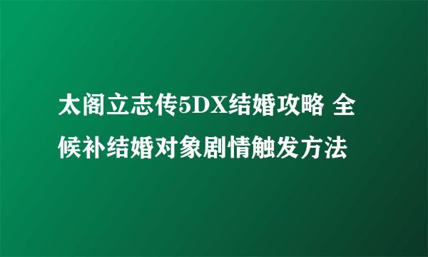 太阁立志传5DX结婚攻略 全候补结婚对象剧情触发方法