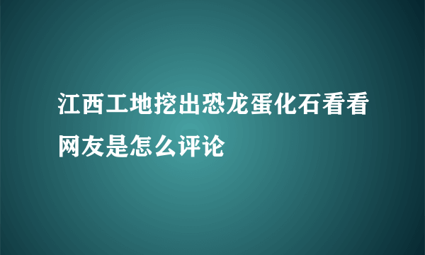 江西工地挖出恐龙蛋化石看看网友是怎么评论