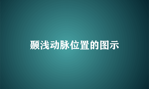 颞浅动脉位置的图示