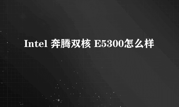 Intel 奔腾双核 E5300怎么样