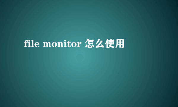 file monitor 怎么使用