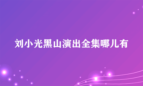 刘小光黑山演出全集哪儿有