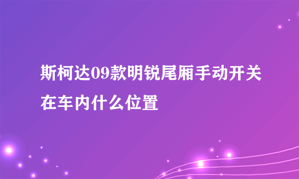 斯柯达09款明锐尾厢手动开关在车内什么位置