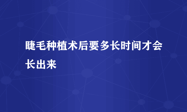 睫毛种植术后要多长时间才会长出来