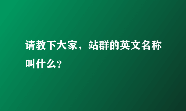 请教下大家，站群的英文名称叫什么？