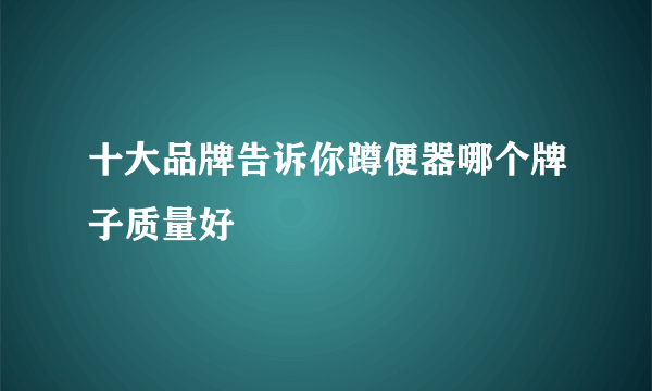 十大品牌告诉你蹲便器哪个牌子质量好