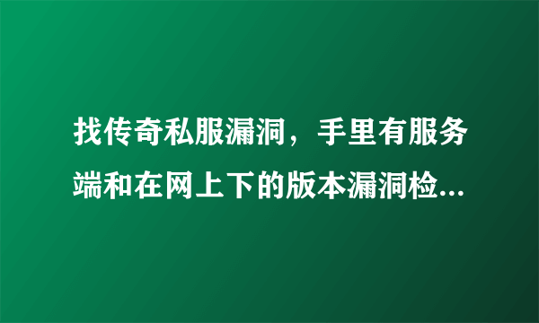 找传奇私服漏洞，手里有服务端和在网上下的版本漏洞检测工具了，具体找出的漏洞要怎么去实验？