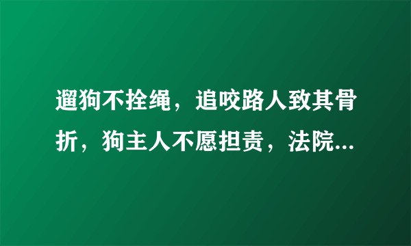 遛狗不拴绳，追咬路人致其骨折，狗主人不愿担责，法院会怎么判？