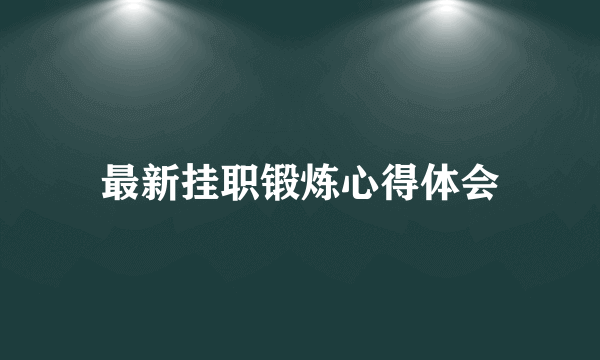 最新挂职锻炼心得体会