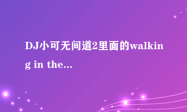 DJ小可无间道2里面的walking in the sun下面的那个DJ叫什么名字啊?