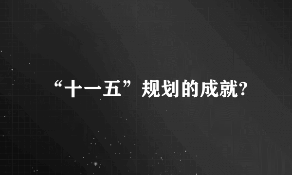 “十一五”规划的成就?