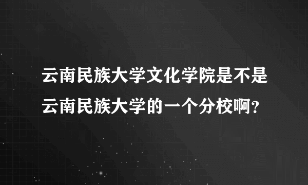 云南民族大学文化学院是不是云南民族大学的一个分校啊？