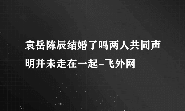 袁岳陈辰结婚了吗两人共同声明并未走在一起-飞外网