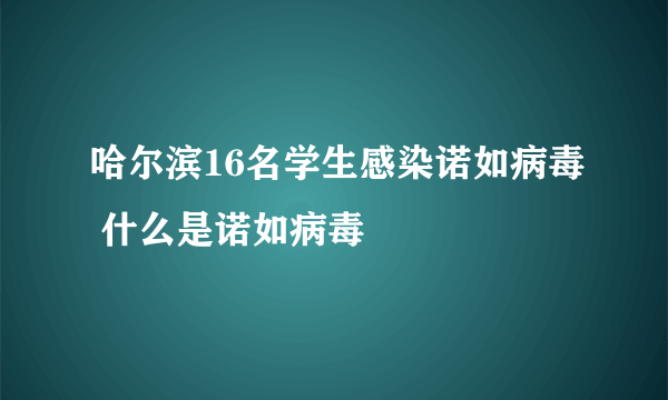 哈尔滨16名学生感染诺如病毒 什么是诺如病毒