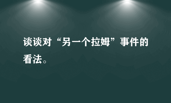 谈谈对“另一个拉姆”事件的看法。