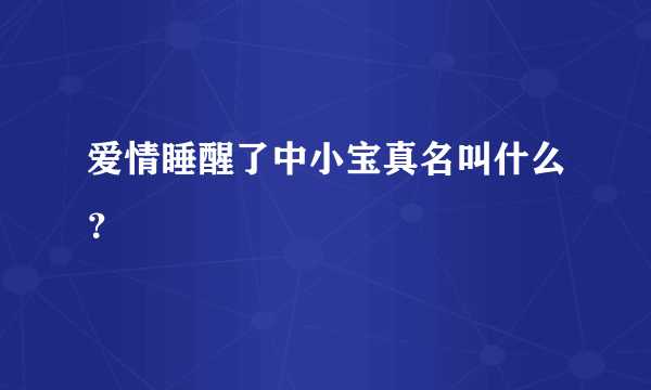 爱情睡醒了中小宝真名叫什么？