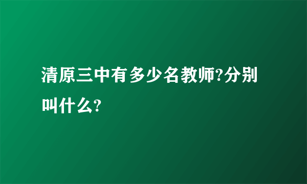 清原三中有多少名教师?分别叫什么?