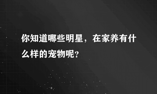 你知道哪些明星，在家养有什么样的宠物呢？