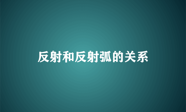 反射和反射弧的关系