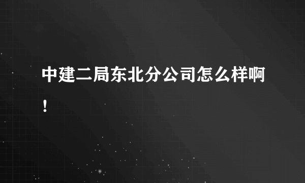 中建二局东北分公司怎么样啊！