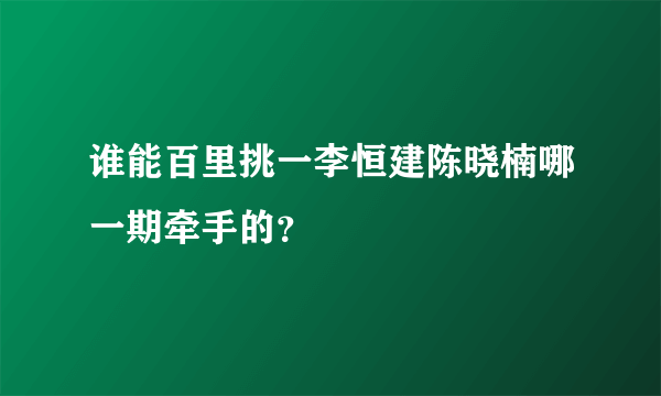 谁能百里挑一李恒建陈晓楠哪一期牵手的？