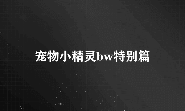 宠物小精灵bw特别篇