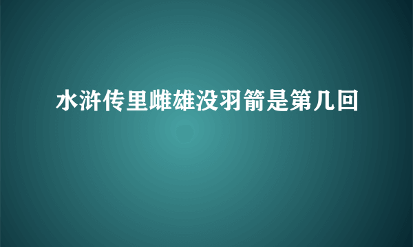 水浒传里雌雄没羽箭是第几回