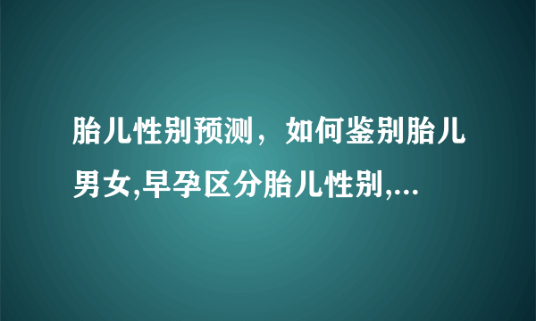 胎儿性别预测，如何鉴别胎儿男女,早孕区分胎儿性别,辨别胎儿性