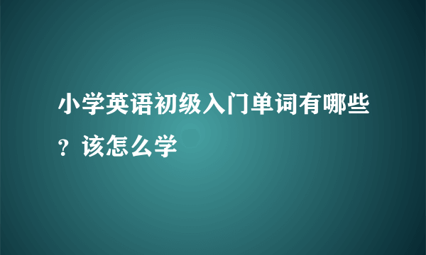 小学英语初级入门单词有哪些？该怎么学