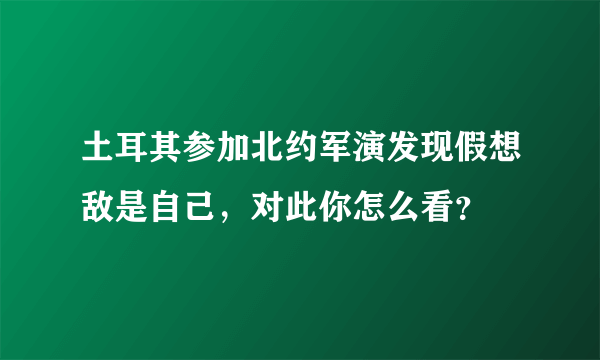 土耳其参加北约军演发现假想敌是自己，对此你怎么看？