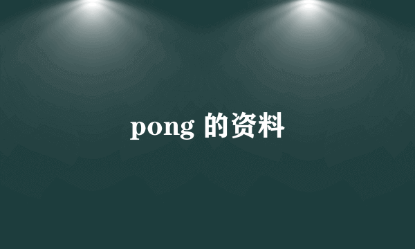 pong 的资料