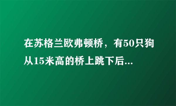 在苏格兰欧弗顿桥，有50只狗从15米高的桥上跳下后死亡，这是怎么回事？