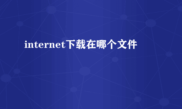 internet下载在哪个文件