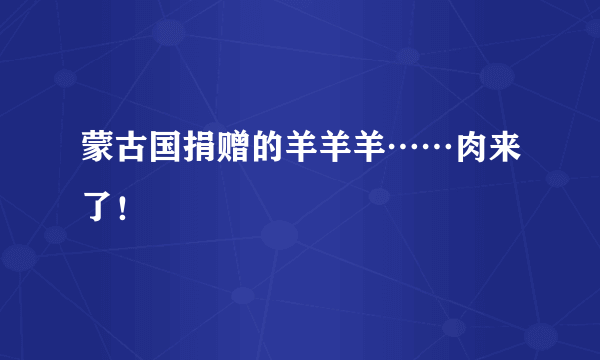 蒙古国捐赠的羊羊羊……肉来了！