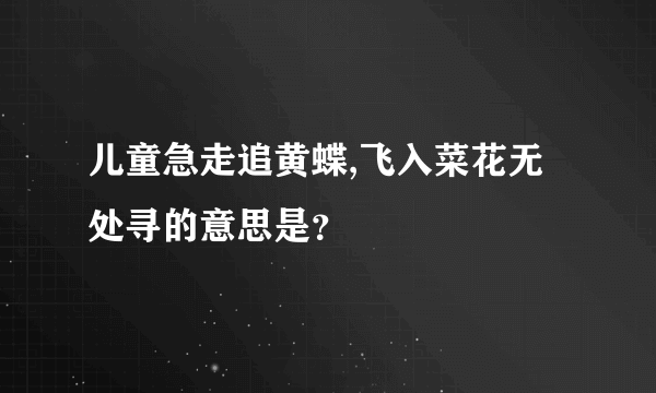 儿童急走追黄蝶,飞入菜花无处寻的意思是？