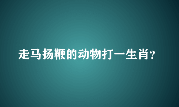 走马扬鞭的动物打一生肖？