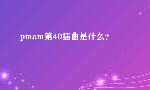 pmam第40插曲是什么？