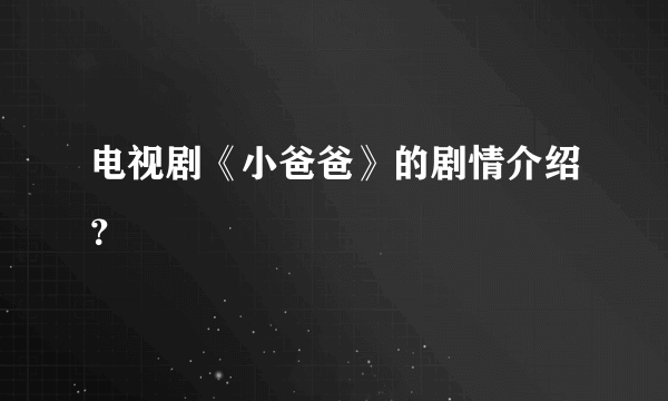 电视剧《小爸爸》的剧情介绍？