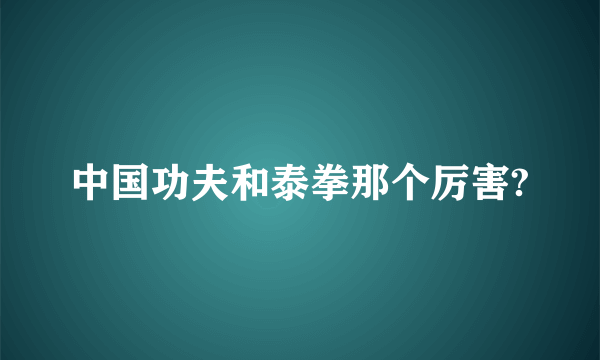 中国功夫和泰拳那个厉害?