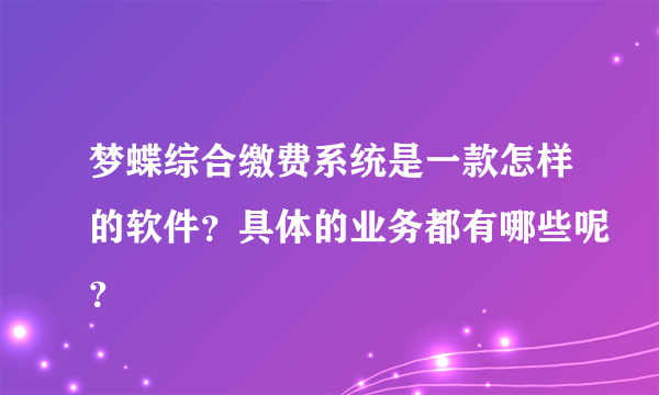 梦蝶综合缴费系统是一款怎样的软件？具体的业务都有哪些呢？