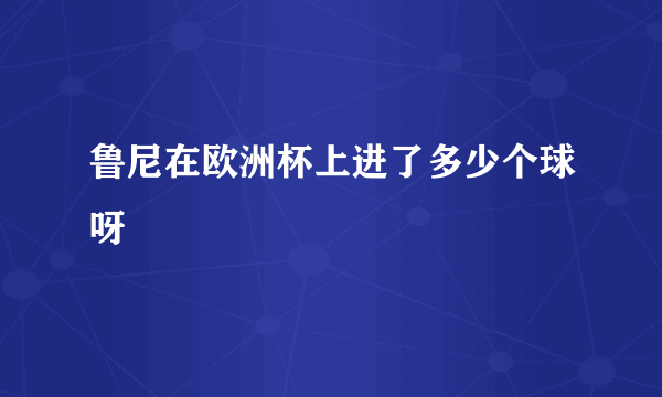 鲁尼在欧洲杯上进了多少个球呀