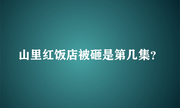 山里红饭店被砸是第几集？