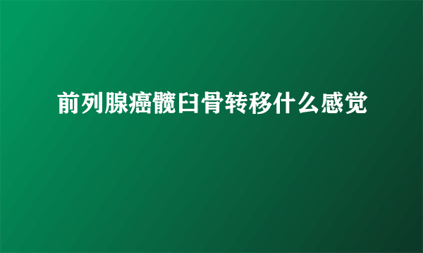 前列腺癌髋臼骨转移什么感觉